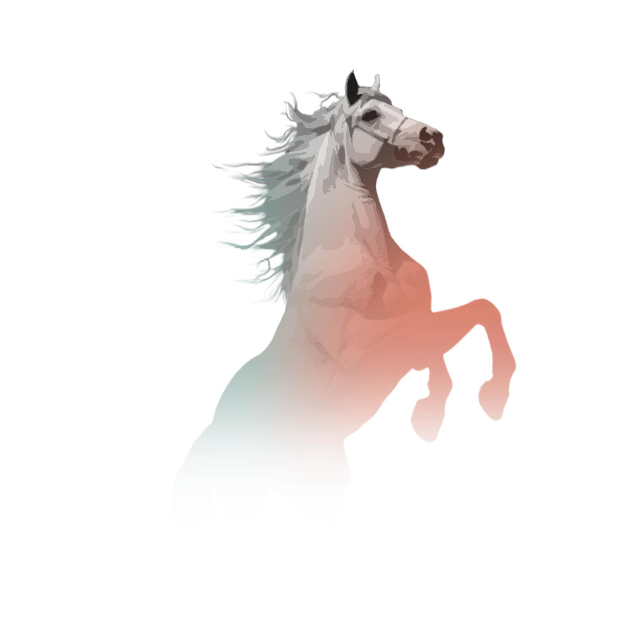 Horse Image